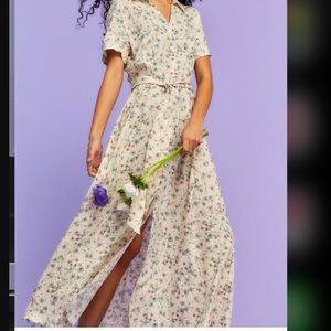 H&M button up maxi dress.